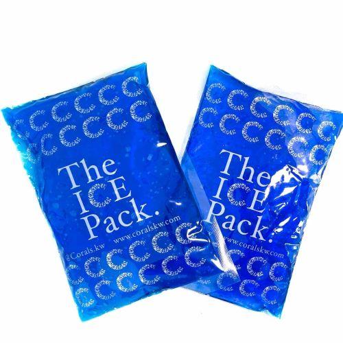 ICE PACKS (2 PIECES)